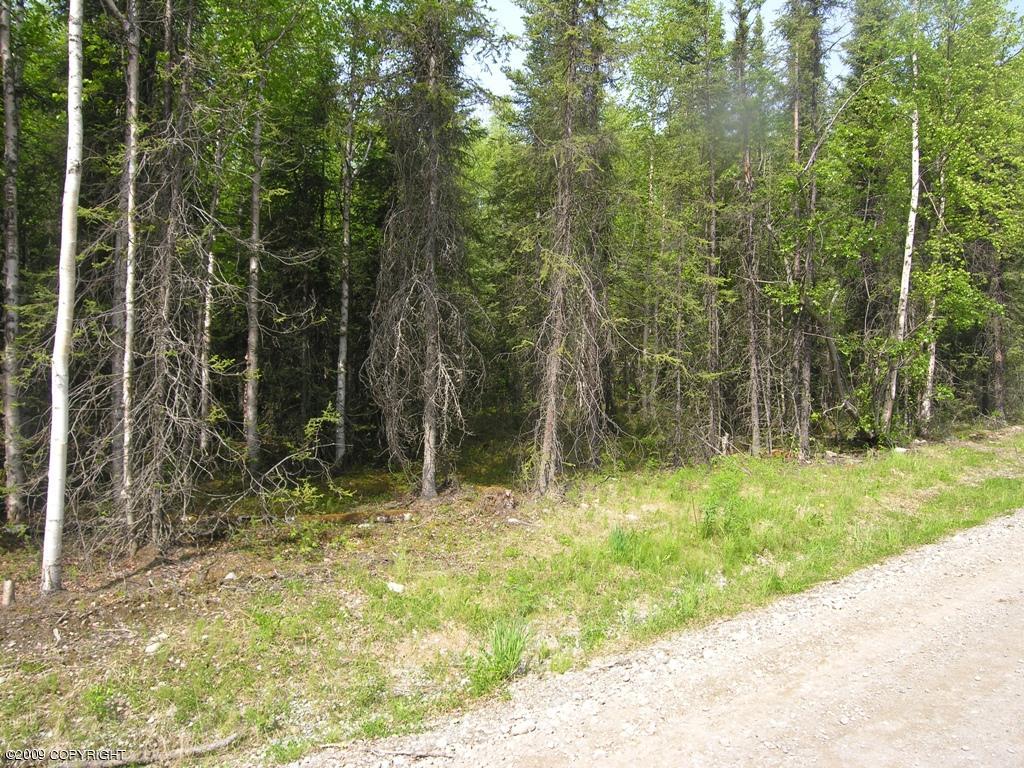 3790 N Wyoming Drive, Wasilla, AK 99623