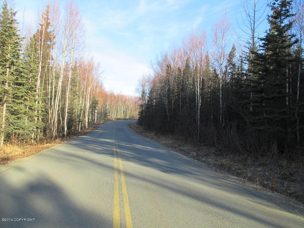 3790 N Wyoming Drive, Wasilla, AK 99623