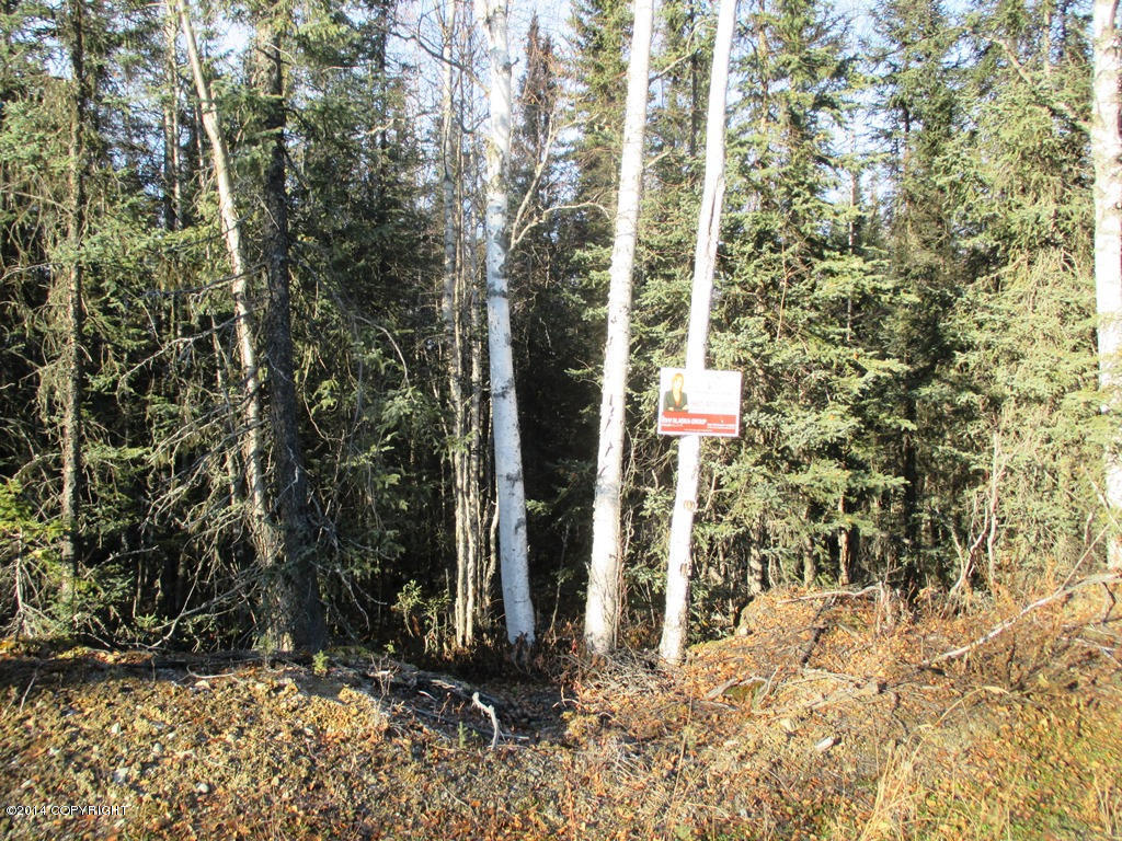 3790 N Wyoming Drive, Wasilla, AK 99623