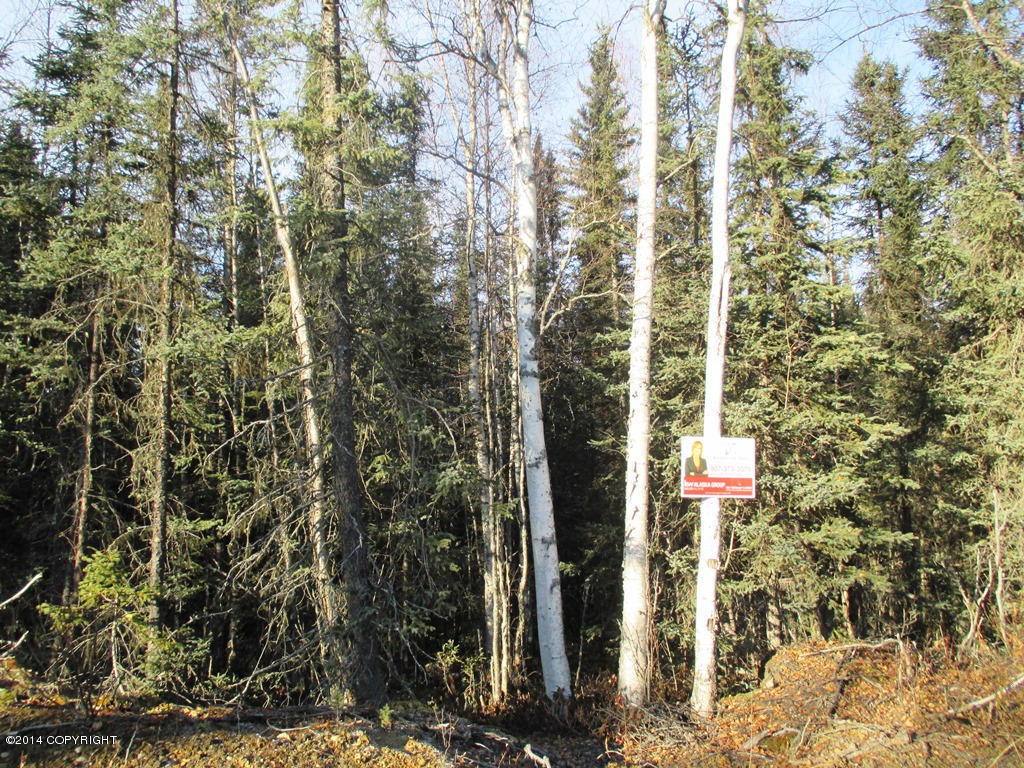 3790 N Wyoming Drive, Wasilla, AK 99623