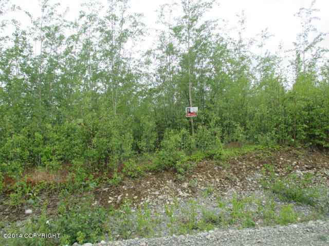 10734 W Backus Drive, Wasilla, AK 99623