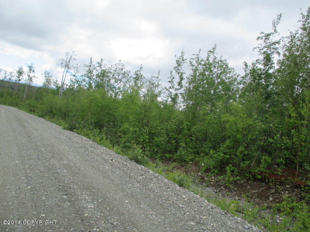 10734 W Backus Drive, Wasilla, AK 99623
