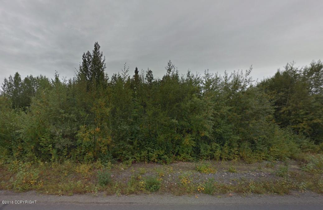 9945 W Schulz Drive, Wasilla, AK 99623