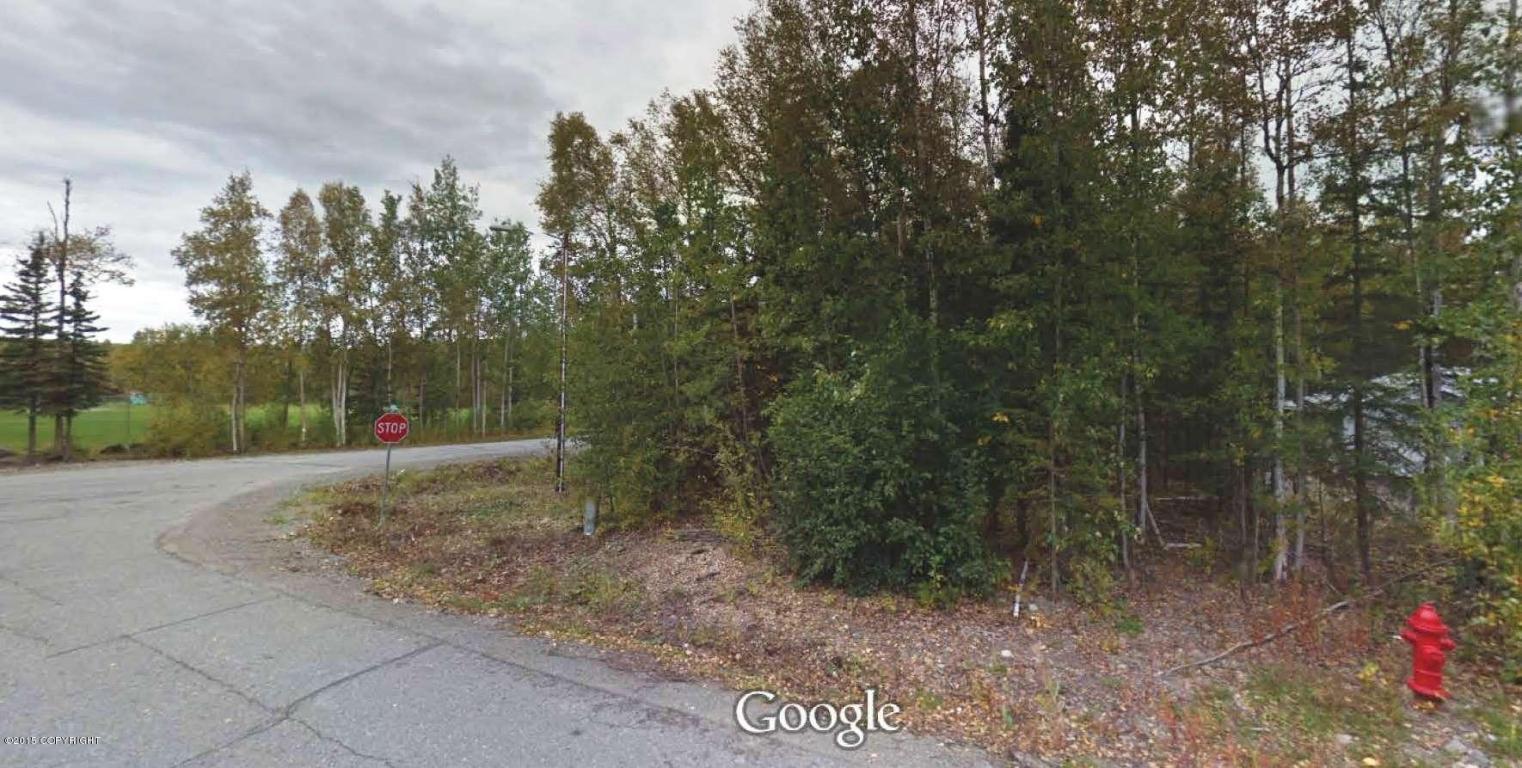 7011 S Turner Drive, Wasilla, AK 99623