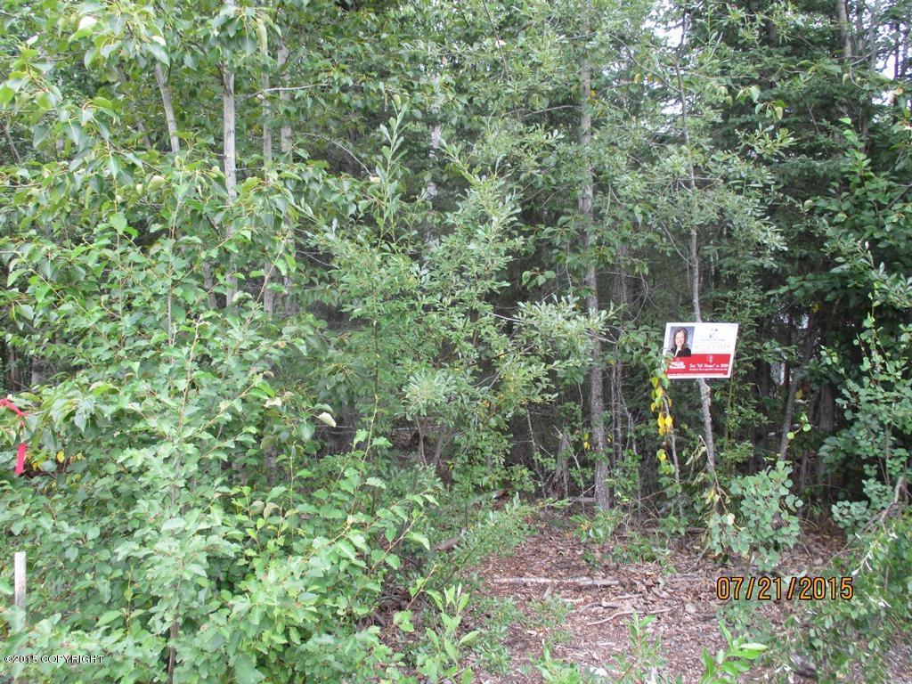 7011 S Turner Drive, Wasilla, AK 99623