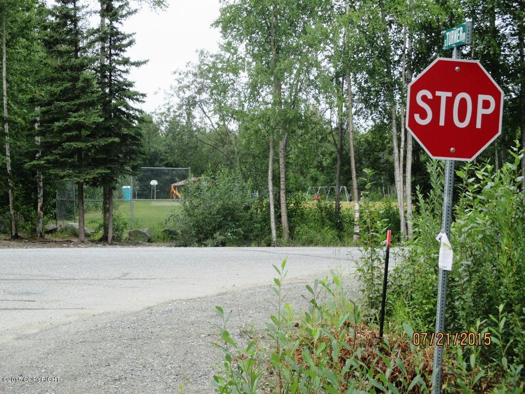 7011 S Turner Drive, Wasilla, AK 99623
