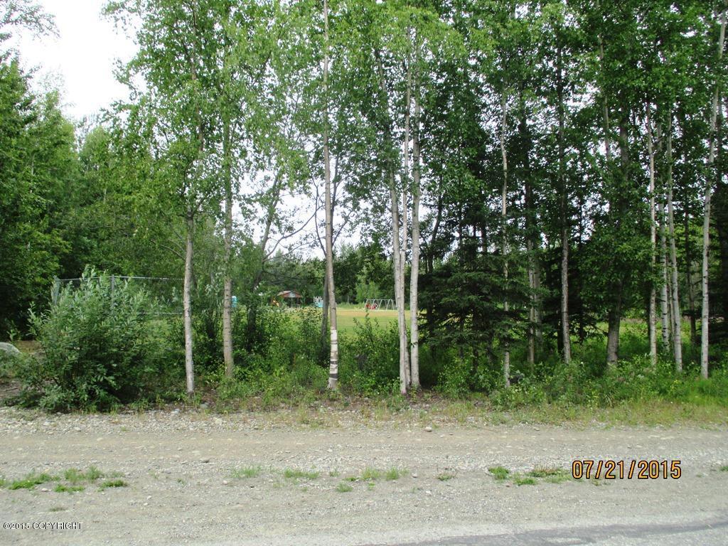 7011 S Turner Drive, Wasilla, AK 99623