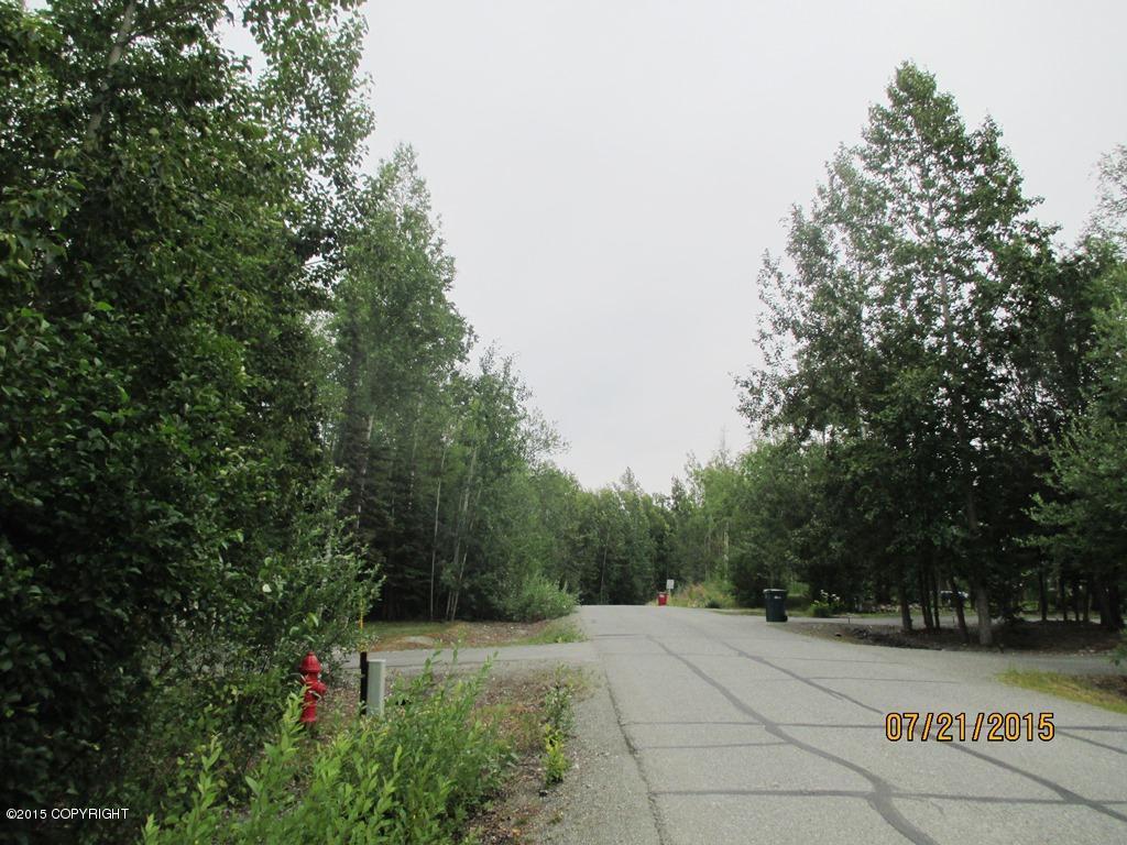 7011 S Turner Drive, Wasilla, AK 99623