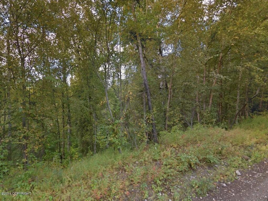4248 W Little Rain Road, Wasilla, AK 99623
