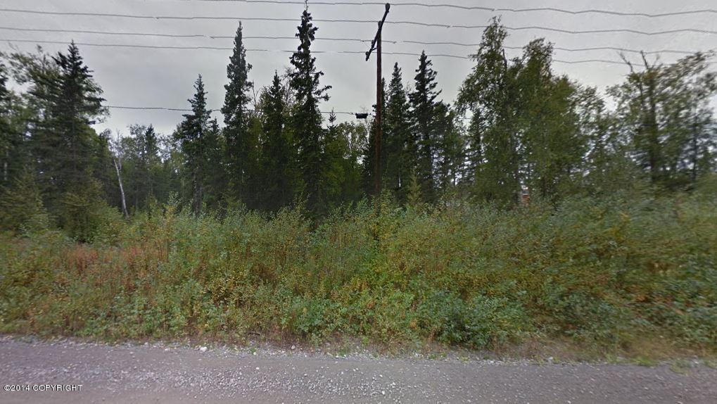 6430 S Hallie Drive, Wasilla, AK 99623