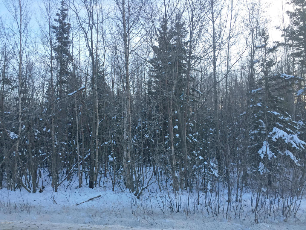 6860 W Beverly Lake Road, Wasilla, AK 99623