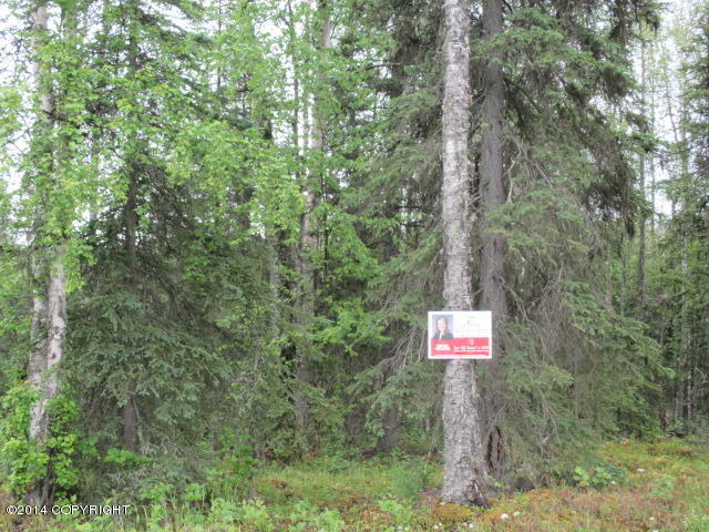 6620 W Joes Drive, Wasilla, AK 99623