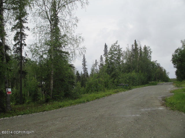 6620 W Joes Drive, Wasilla, AK 99623