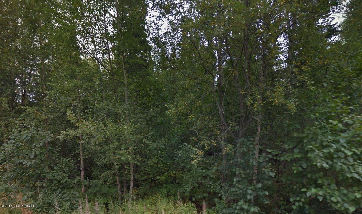 8871 S Polaris Lane, Wasilla, AK 99623