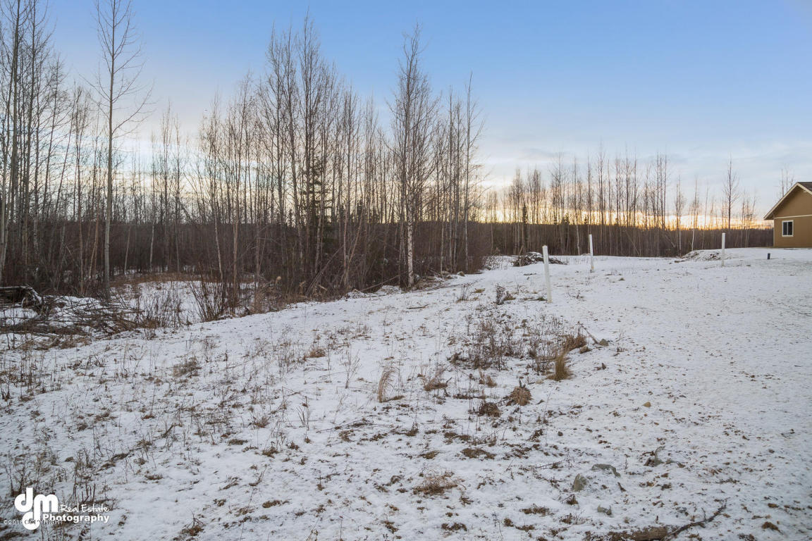 10116 W Schulz Drive, Wasilla, AK 99623