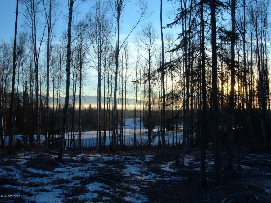 7583 S Settlers Bay Drive, Wasilla, AK 99623