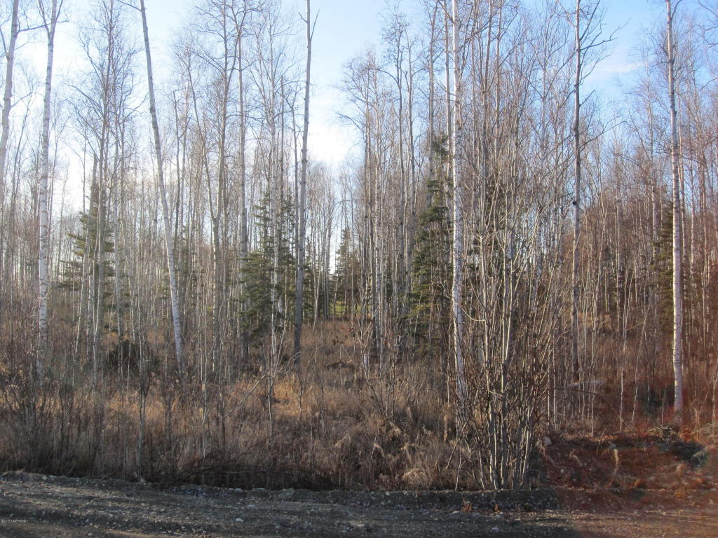 7583 S Settlers Bay Drive, Wasilla, AK 99623