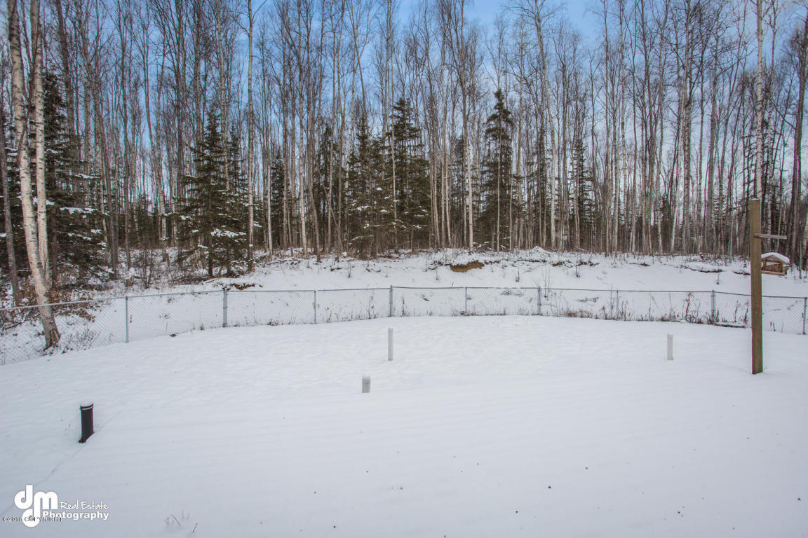 8016 S Lahti Circle, Wasilla, AK 99623