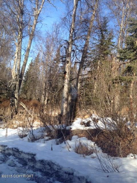 L1-4 B2Eileen St, Nikiski/north Kenai, United States 99635