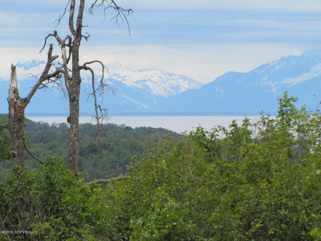 L5 B3 Bohlin Street, Nikiski/North Kenai, AK 99635