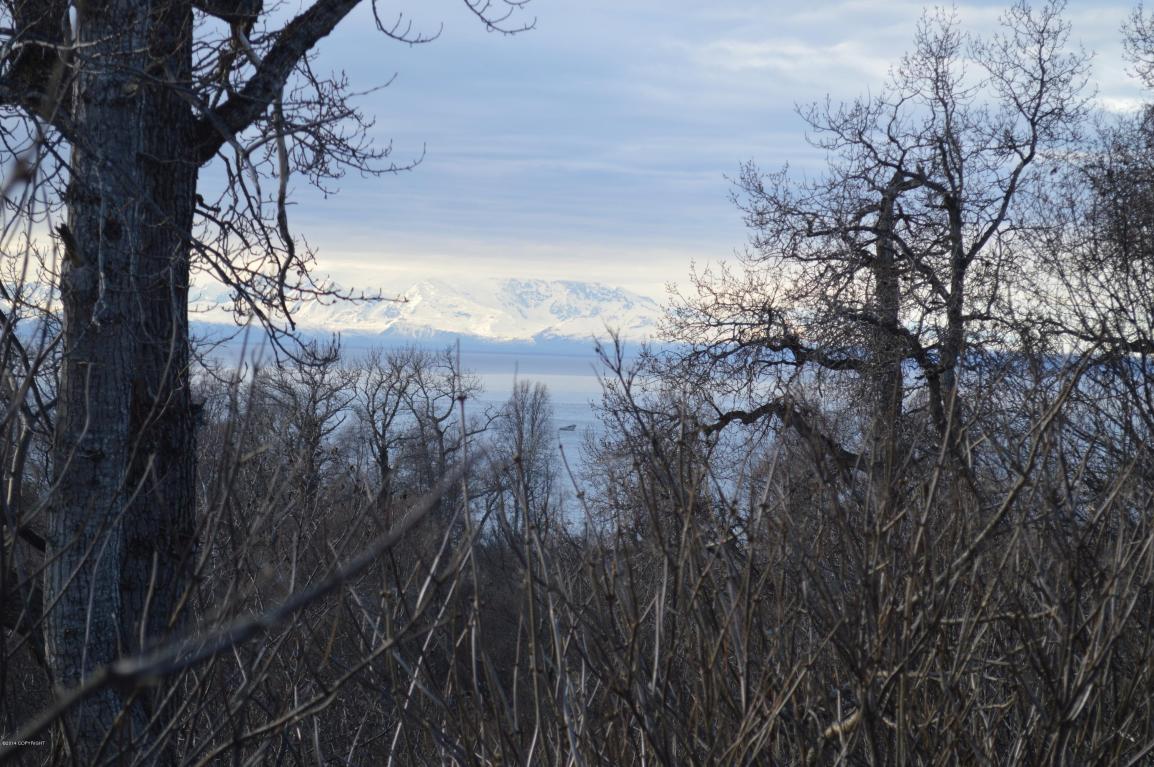 L9 B3 Golik Avenue, Nikiski/North Kenai, AK 99635