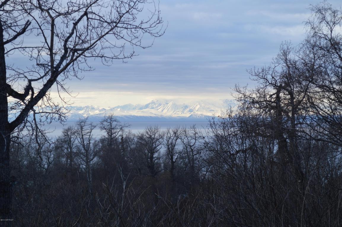 L40 B1 Scenic View Loop, Nikiski/North Kenai, AK 99635