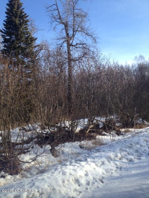 L3 B2Lakeridge, Nikiski/north Kenai, United States 99635
