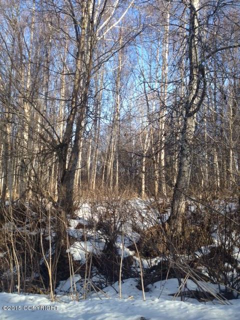 L2 B2Lakeridge, Nikiski/north Kenai, United States 99635