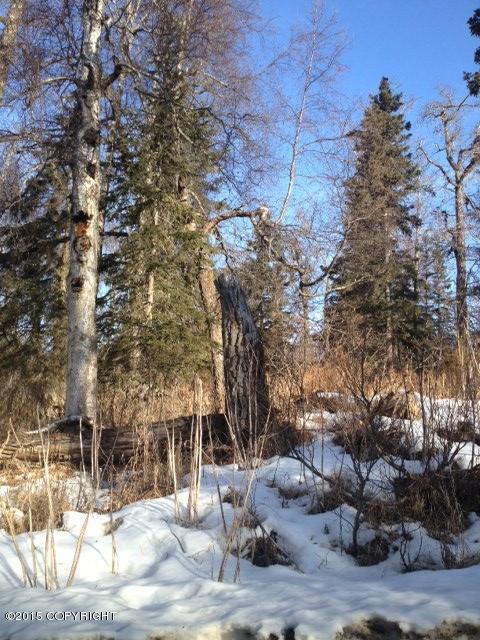 L2 B2Lakeridge, Nikiski/north Kenai, United States 99635