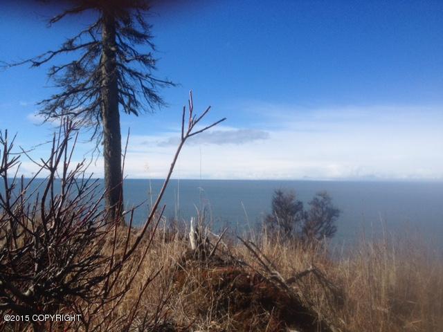 19355Sterling Hwy, Ninilchik, United States 99639