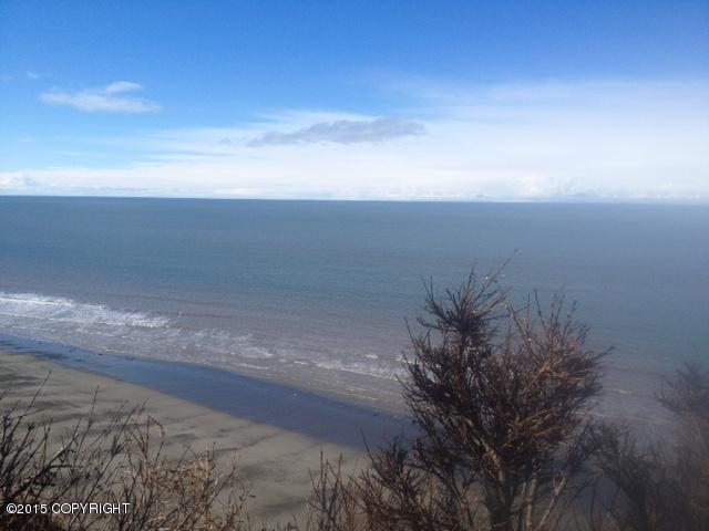 19355Sterling Hwy, Ninilchik, United States 99639