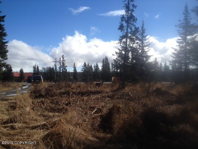 19355Sterling Hwy, Ninilchik, United States 99639