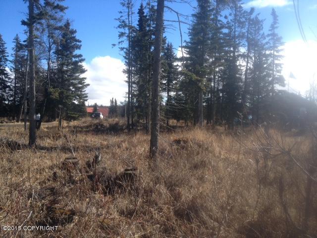 19355Sterling Hwy, Ninilchik, United States 99639