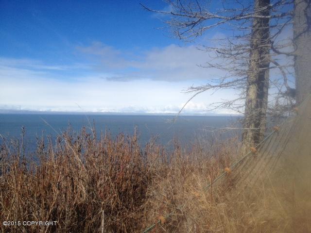 19355Sterling Hwy, Ninilchik, United States 99639