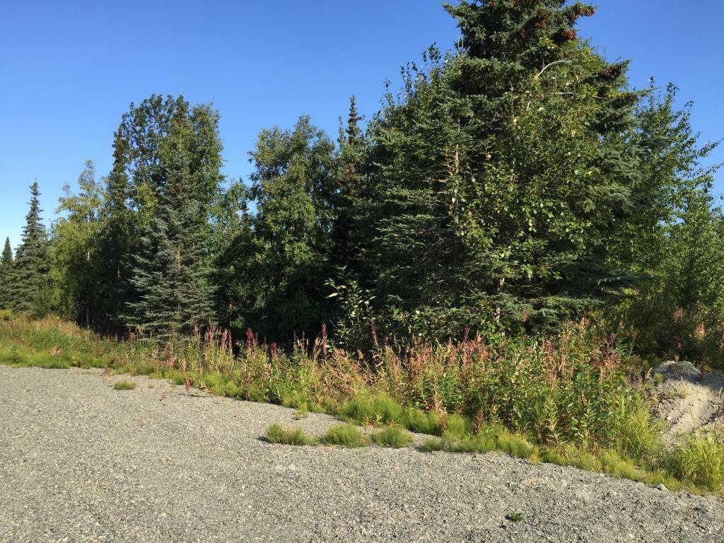 63727Oil Well Rd, Ninilchik, United States 99639
