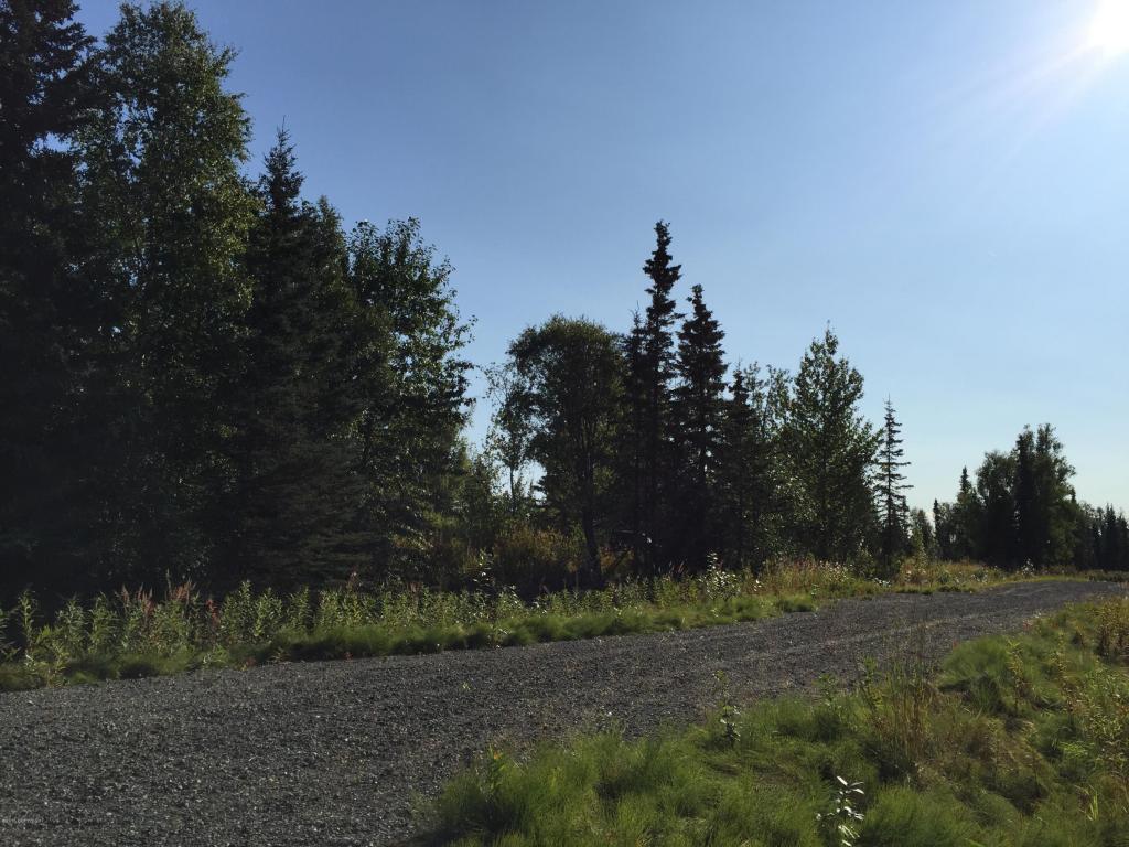 63727Oil Well Rd, Ninilchik, United States 99639