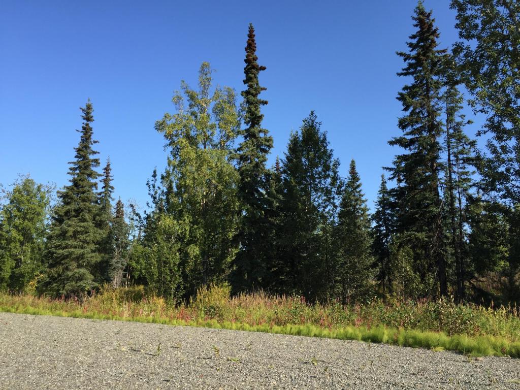 63727Oil Well Rd, Ninilchik, United States 99639