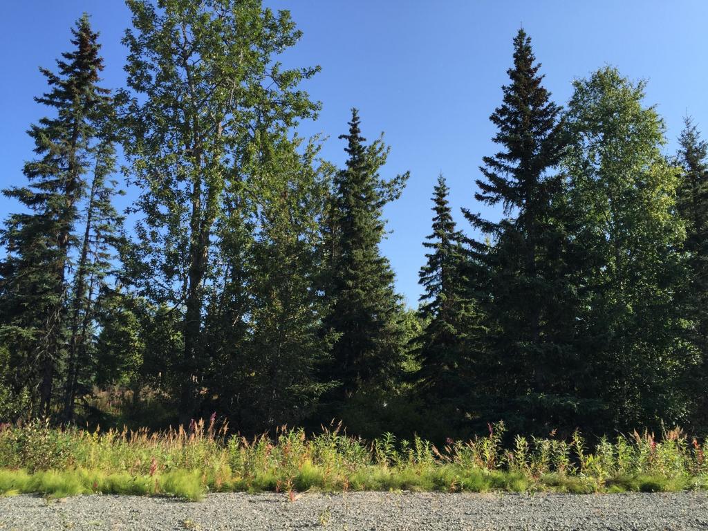 63727Oil Well Rd, Ninilchik, United States 99639