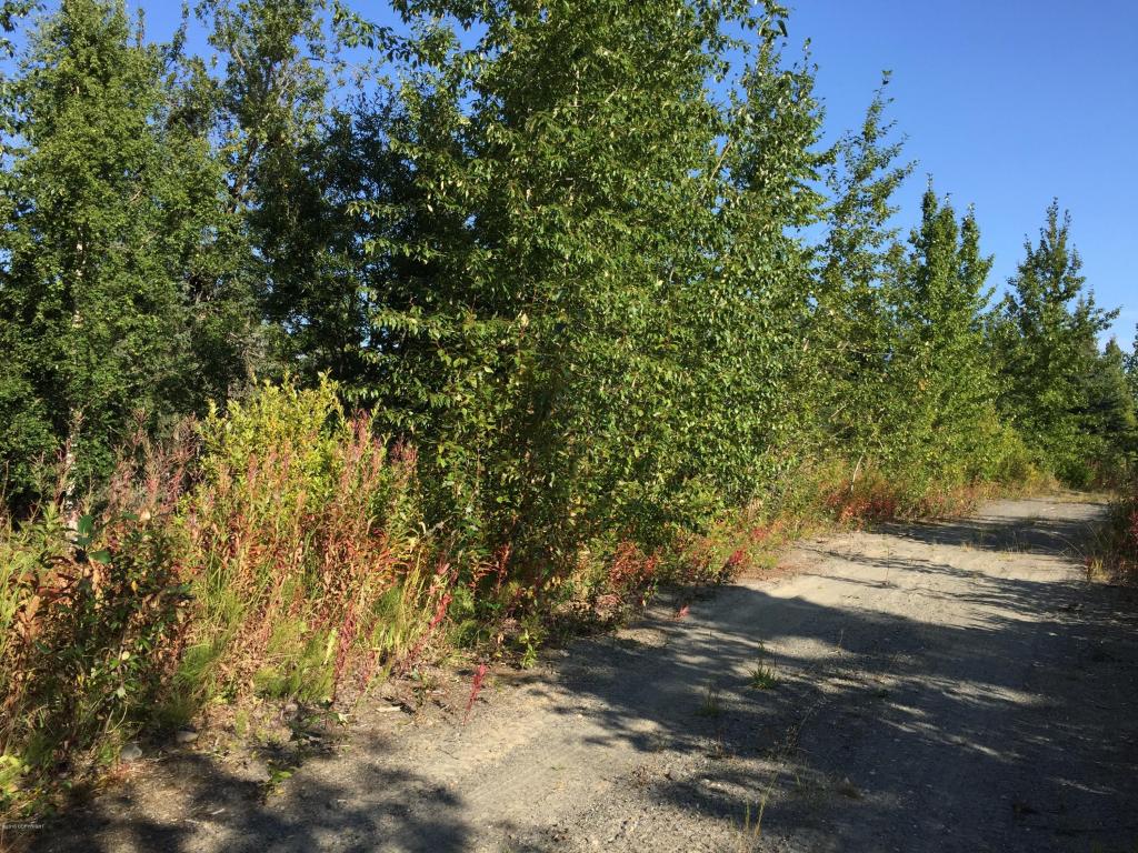 63727Oil Well Rd, Ninilchik, United States 99639