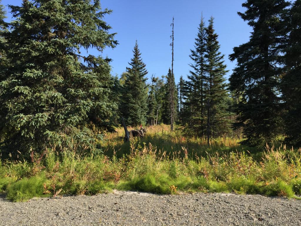 63787Oil Well Rd, Ninilchik, United States 99639