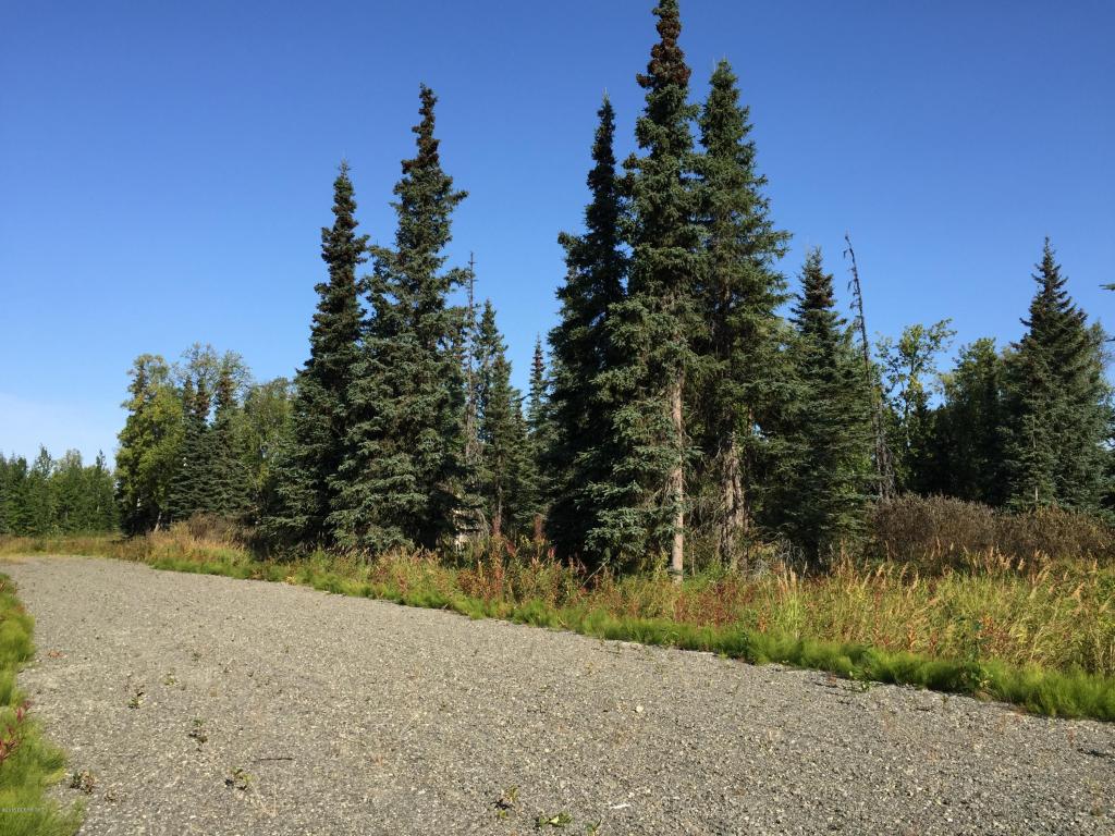 63787Oil Well Rd, Ninilchik, United States 99639