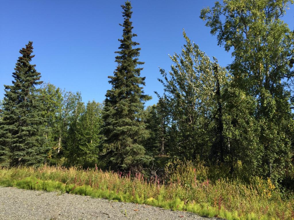 63747Oil Well Rd, Ninilchik, United States 99639
