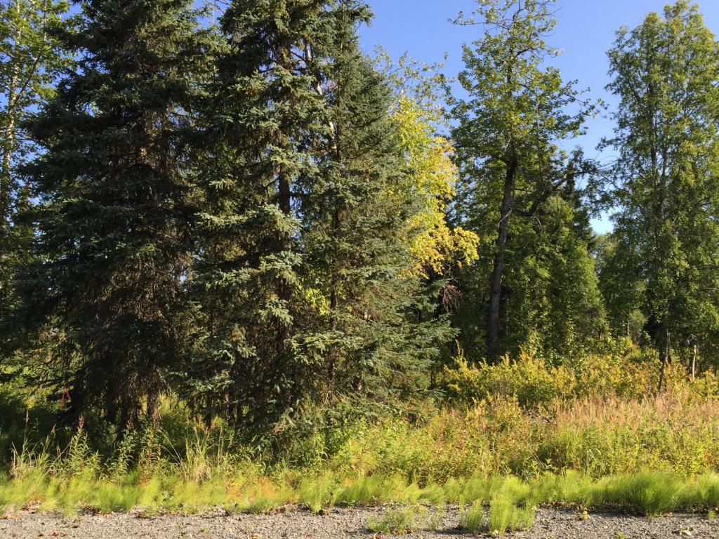 63767Oil Well Rd, Ninilchik, United States 99639