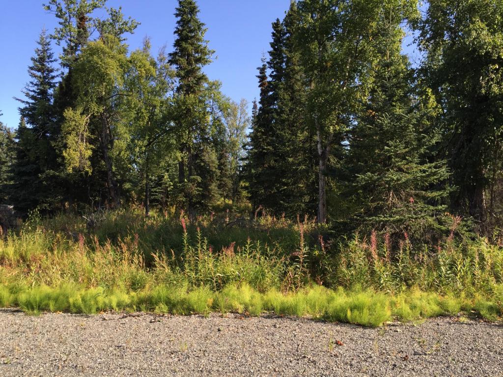 63767Oil Well Rd, Ninilchik, United States 99639