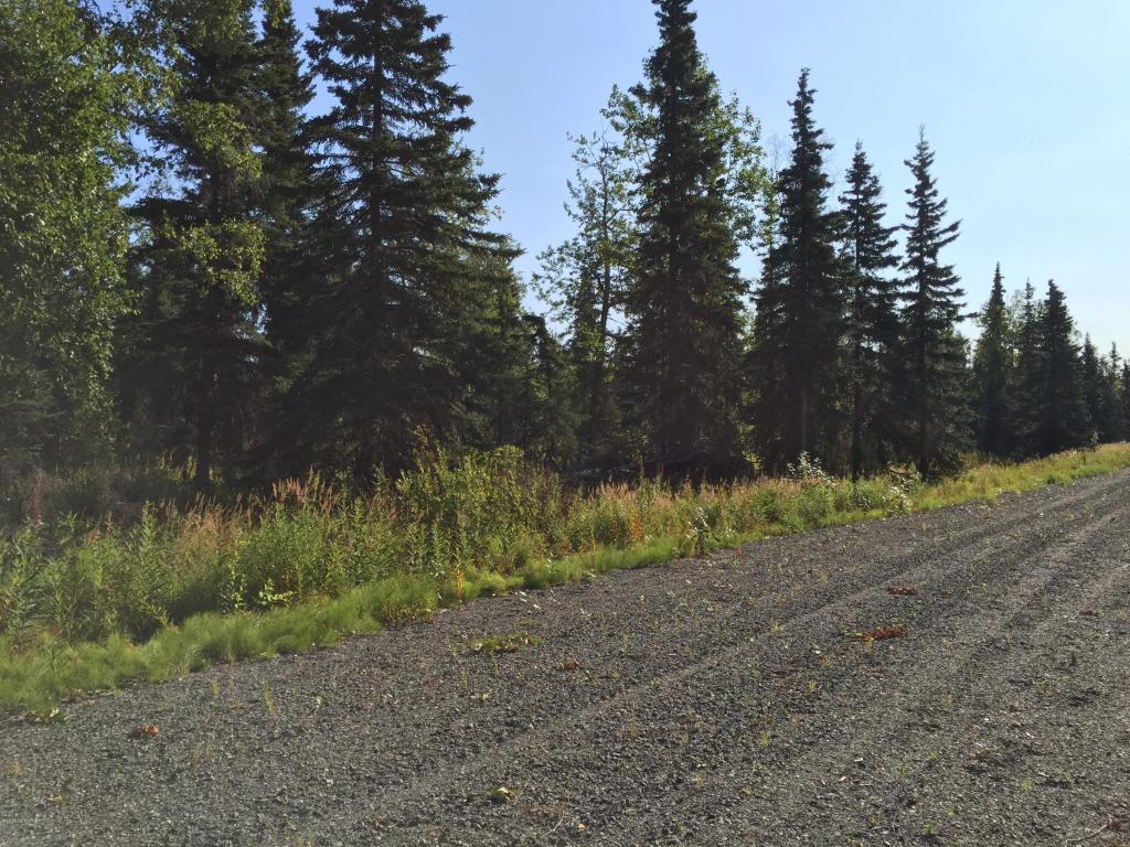 63767Oil Well Rd, Ninilchik, United States 99639
