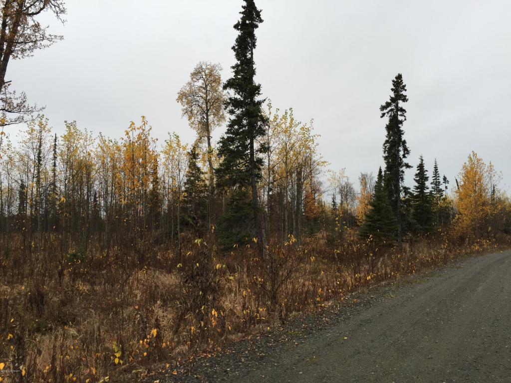 63885Tailwind Rd, Ninilchik, United States 99639