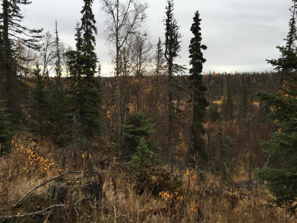 63885Tailwind Rd, Ninilchik, United States 99639