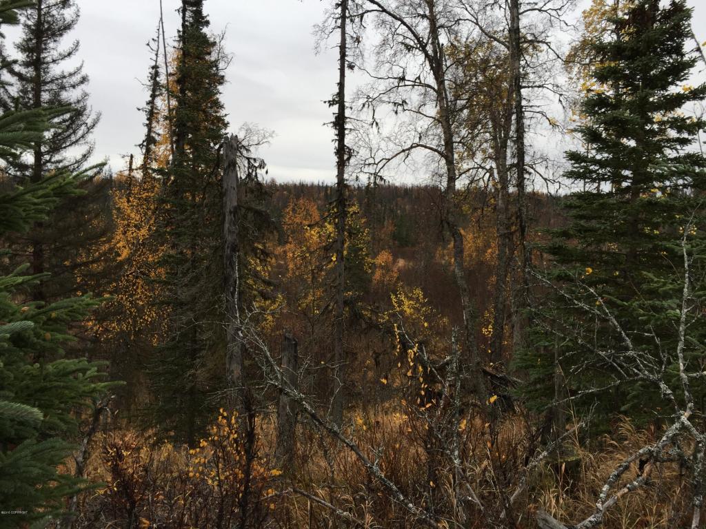 63885Tailwind Rd, Ninilchik, United States 99639