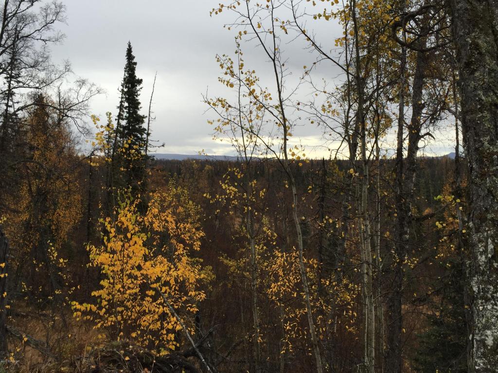 63885Tailwind Rd, Ninilchik, United States 99639