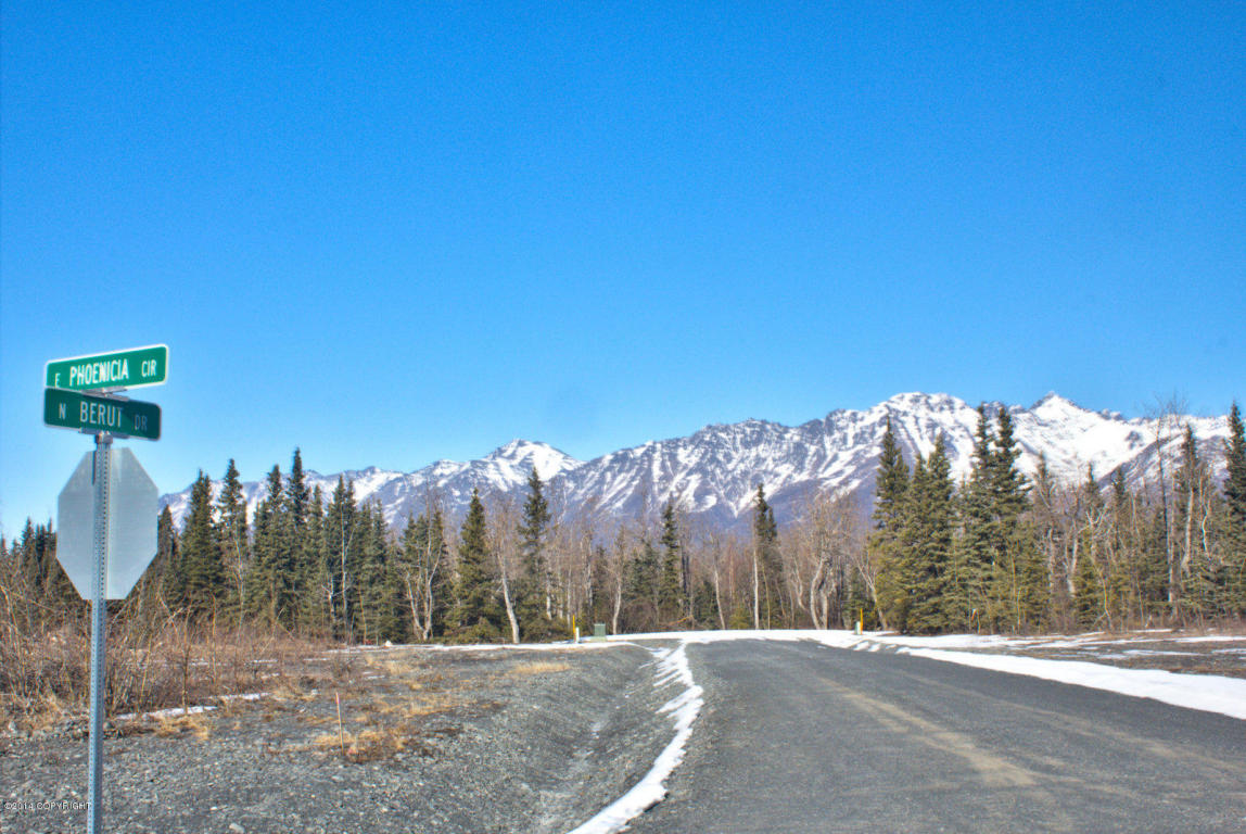 11245 S Nystrom Way, Palmer, AK 99645